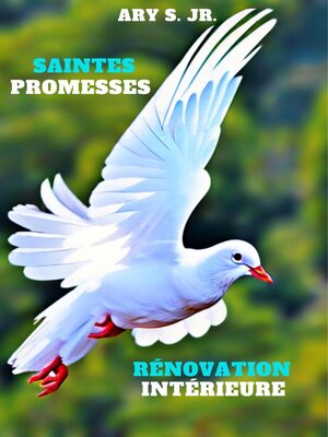 cover image of Saintes Promesses